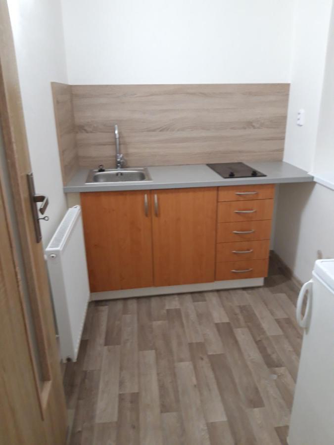 Apartman Plasy Esterno foto